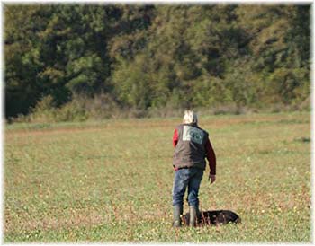 Elevage du CLOS DE LA LUETTE - COPYRIGHT DEPOSE